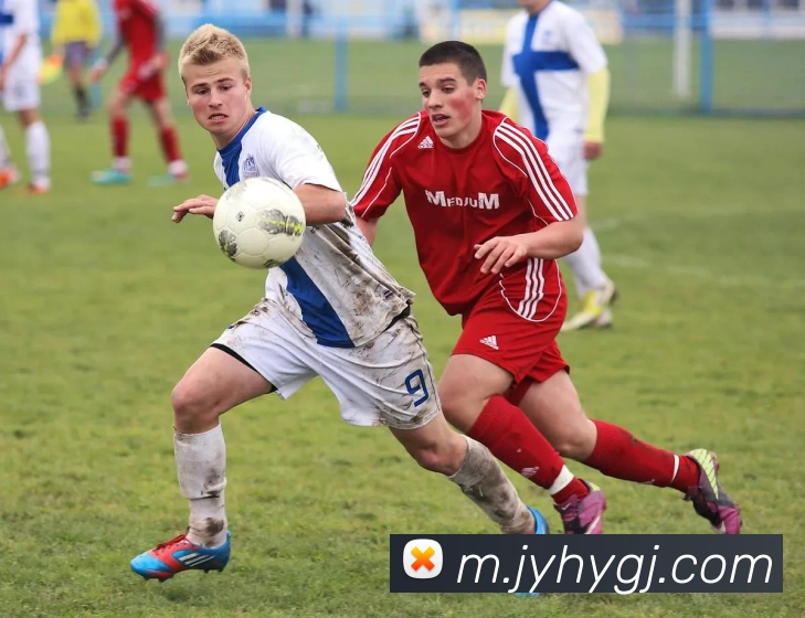 多媒体互动体验